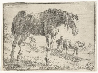 Staand paard Landschappen met paarden (serie titel)