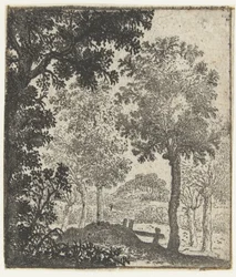 Landschap met grote boom op voorgrond