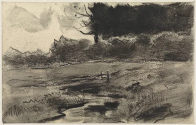 Landschap met bosrand en water