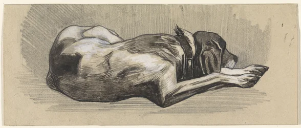 Slapende hond, naar rechts
