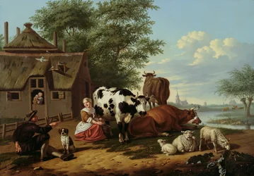 Vee in een Weide