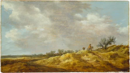 Pad door de duinen