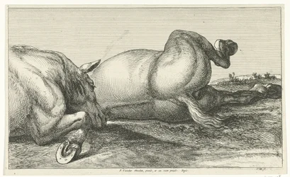 Twee achter elkaar liggende gesneuvelde paarden Gesneuvelde paarden (series title)