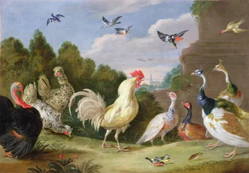Boslandschap met een haan, kalkoen, hennen en andere vogels, 17e eeuw