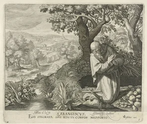H. Franciscus