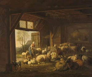 Schapen en geiten in een stal