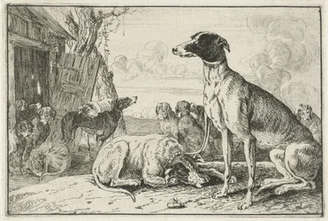 Hondenkennel