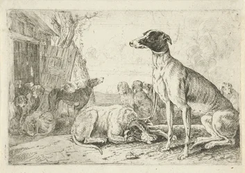 Hondenkennel