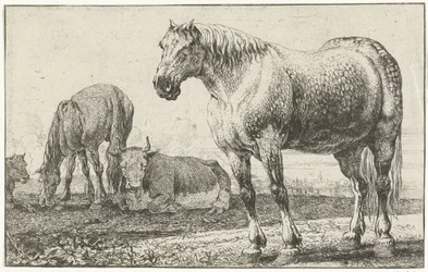 Paarden en koeien