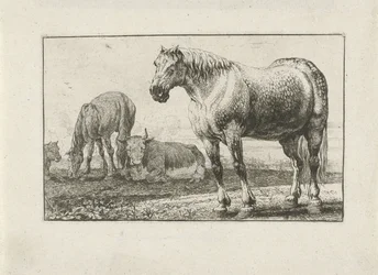 Paarden en koeien