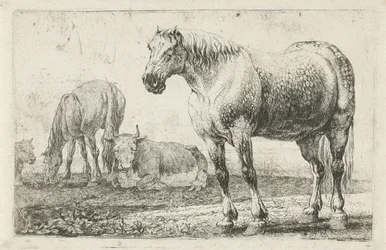 Paarden en koeien