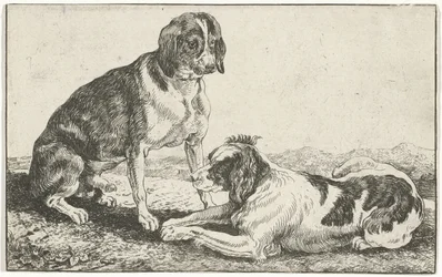 Twee rustende honden