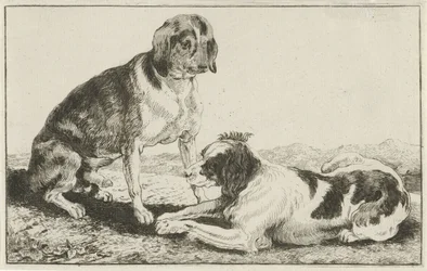 Twee rustende honden