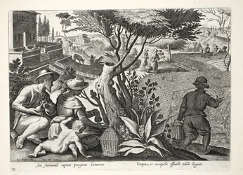 Jacht op Kwartels, illustratie uit 