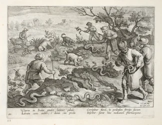 Italiaanse adders die padden eten, plaat 60, illustratie uit 