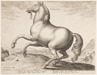 Een Frans Paard, uit de eerste set van "Equile Joannis Austriaci"