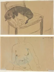 Slapende kat (recto) Torso van een naakte vrouw (verso)
