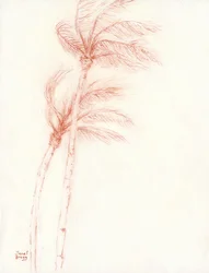 Er was eens een tropische vakantie Palm Trees, ca. 2019