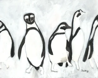 Pinguïns in Woodland Park Zoo