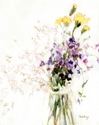 Phlox, Anjer en Baby