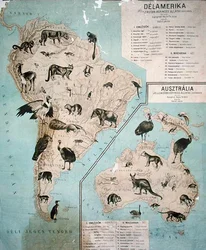 Kaart van dieren in Zuid-Amerika & Australië