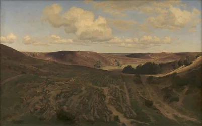 Landschap bij Nejsum in Vendsyssel