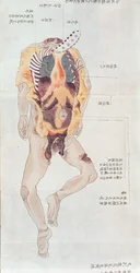 Een opengesneden lichaam uit de dissectie van een martelslachtoffer uit 1796, uit een makimono van een arts uit Midori, 1842