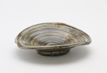 Schaal, Kumamoto-prefectuur, Edo-periode