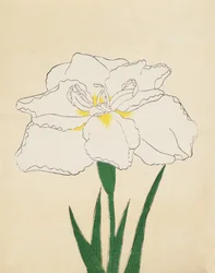 Haku-O-Den, No. 40, 1890