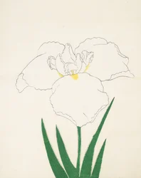 Hatsu-Shimo, nr. 6, 1890