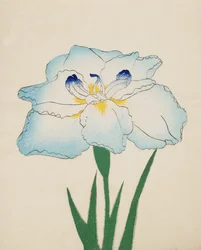 Issui-No-Gin, Nr. 34