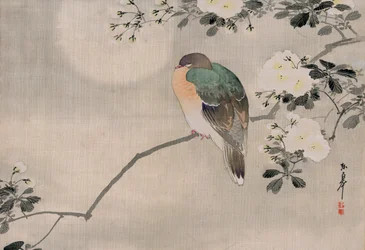 Japanse zijdeschildering van een houtduif