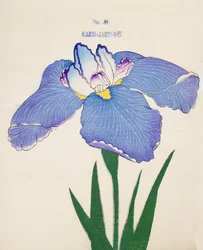 Kaku-Jaku-Ro, nr.39, 1898