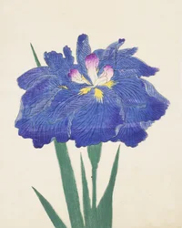 Karako-Asobi, nr.42, 1898