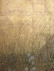 Maan In Musashi Vlakte