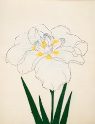 Moro-No-Tsuki, nr. 97, 1890