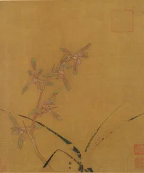 Orchideeën