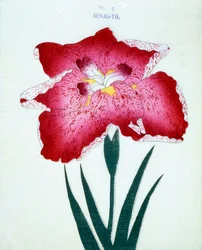 Senjo-To, nr.5, 1898