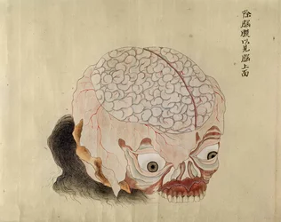 De anatomie van de hersenen uit de dissectie van een martelslachtoffer van 1796, uit een makimono van een Midori-dokter, 1842