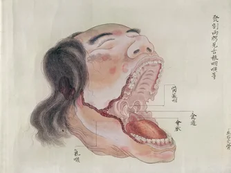 De anatomie van de mond, van de dissectie van een martelslachtoffer uit 1796, uit een makimono van een Midori-arts, 1842