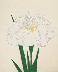 Ujaku-No-Nagisa, nr. 61, 1890