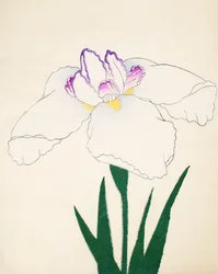 Zama-no.-Mori, nr.4, 1898