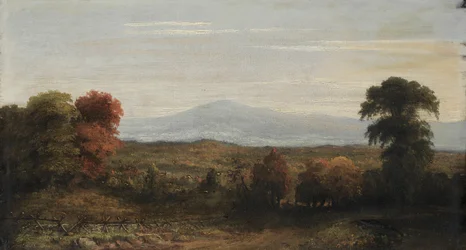 Landschap