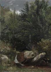 Bomen en een stroom op een heuvel