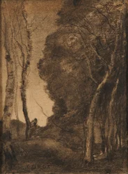 Landschap met bomen
