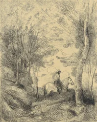 De grote ruiter in het bos
