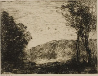Bosrijk Platteland