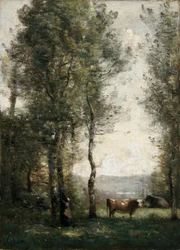 Boslandschap met koeien in een open plek