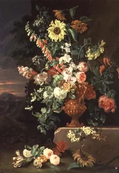 Zonnebloemen, vingerhoedskruid enz.