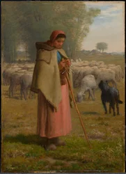 Jong meisje dat haar schapen hoedt